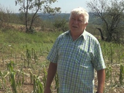 Šteta od grada nemerljiva