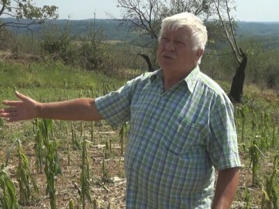 Šteta od grada nemerljiva