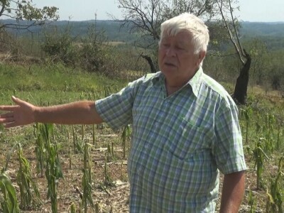 Šteta od grada nemerljiva