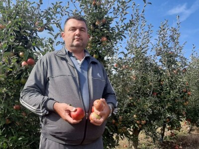 Šteta od grada u Vinči stopostotna, foto: M. Lazarević