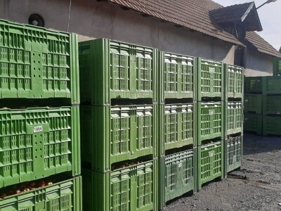 Šteta od grada u Vinči stopostotna, foto: M. Lazarević