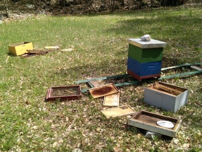 Šteta u pčelinjaku Jakova Čaglja