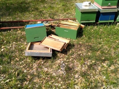 Šteta u pčelinjaku Jakova Čaglja