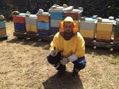 Šteta u pčelinjaku Jakova Čaglja