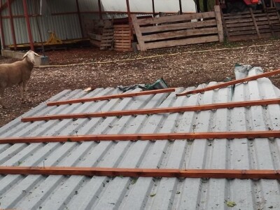 Štete na OPG-u Marijana Krnjića u Nijemcima