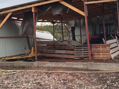 Štete na OPG-u Marijana Krnjića u Nijemcima