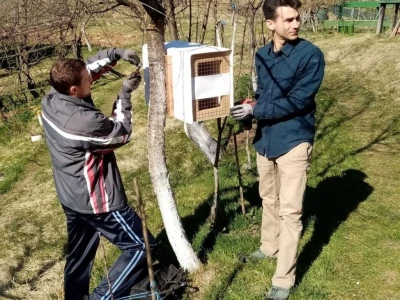 Štete na voćkama