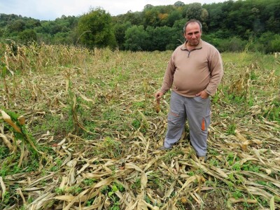 Stete od divljači Stete od divljači