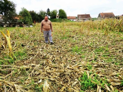 Stete od divljači Stete od divljači