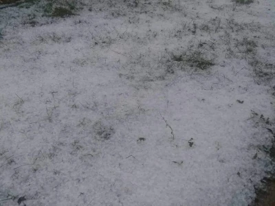 Štete od grada i nevremena