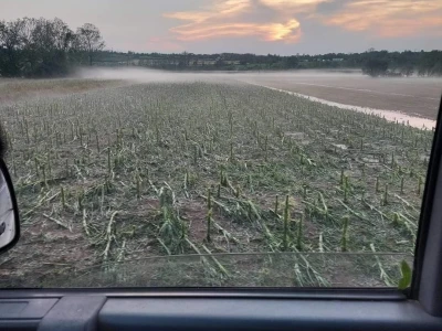 Štete od grada i nevremena
