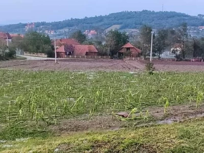 Štete od grada i nevremena