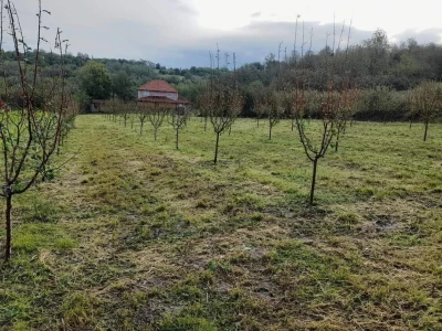 Štete od grada i nevremena