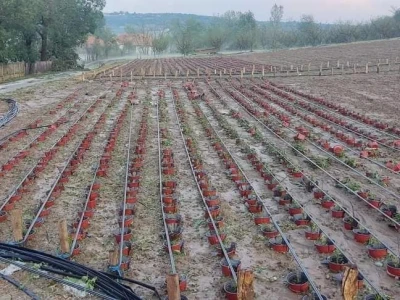 Štete od grada i nevremena