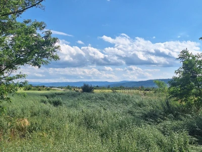 Štete od grada na usevima u okolini Knjaževca