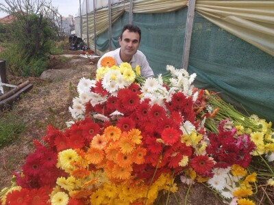 Štete u splitskim plastenicima