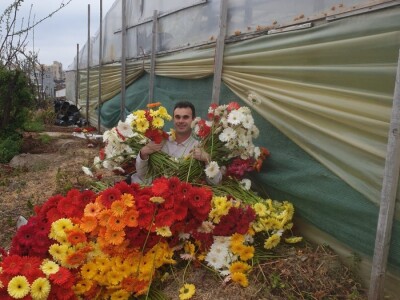 Štete u splitskim plastenicima