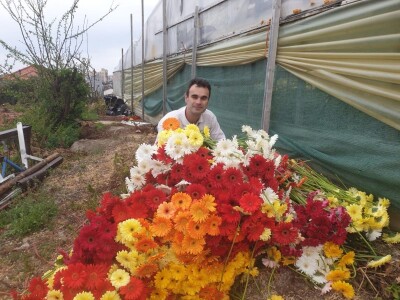 Štete u splitskim plastenicima