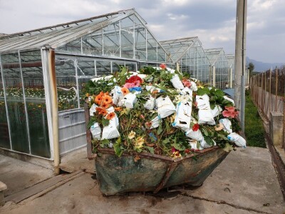 Štete u splitskim plastenicima