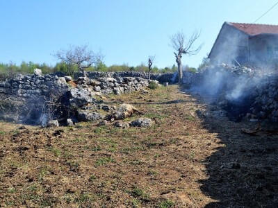ŠTETNI DOGAĐAJI - Ugriz zaštićenog poskoka usmrtio kozu, ovcu i ovna! ŠTETNI DOGAĐAJI - Ugriz zaštićenog poskoka usmrtio kozu, ovcu i ovna!