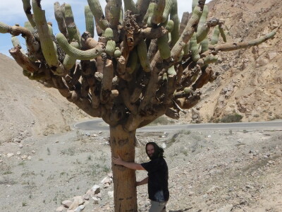 Stevan Avramov - život sa kaktusima Stevan Avramov - život sa kaktusima