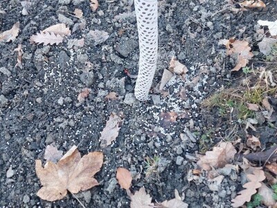 Stevo Topić iz Torina kod Čelinca Stevo Topić iz Torina kod Čelinca