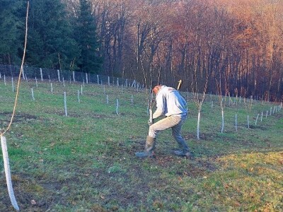 Stevo Topić iz Torina kod Čelinca Stevo Topić iz Torina kod Čelinca