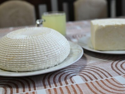 Stigao traktor na gazdinstvo u Gate, uskoro će i junice Stigao traktor na gazdinstvo u Gate, uskoro će i junice