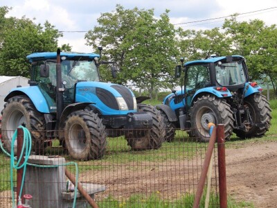 Stigla i četvrta generacija Jokića: Cijelo domaćinstvo decenijama u stočarstvu