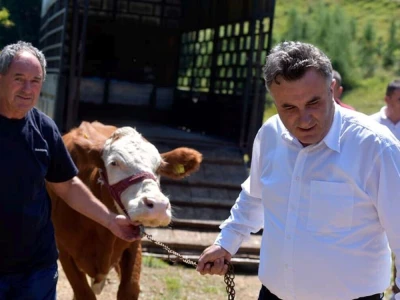 Stigla pomoć Vukici Milosavljević koju je grom ostavio bez krava