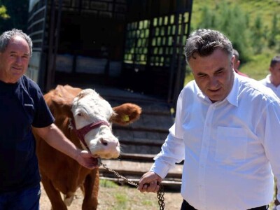 Stigla pomoć Vukici Milosavljević koju je grom ostavio bez krava