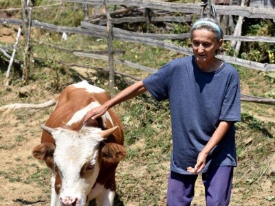 Stigla pomoć Vukici Milosavljević koju je grom ostavio bez krava