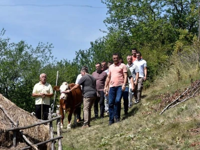 Stigla pomoć Vukici Milosavljević koju je grom ostavio bez krava