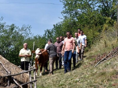 Stigla pomoć Vukici Milosavljević koju je grom ostavio bez krava