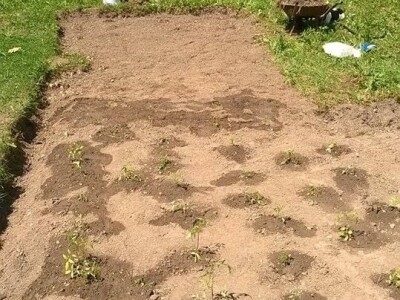 Štiham, gradim, sadim, ali umjesto novca, želim domaću hranu