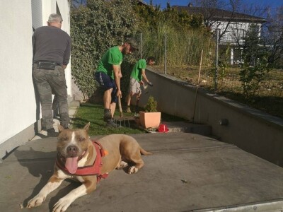 Štiham, gradim, sadim, ali umjesto novca, želim domaću hranu