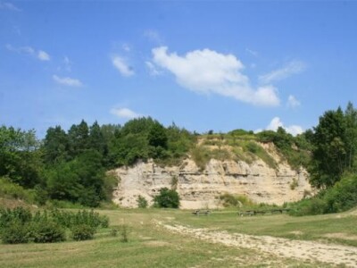 Podneblje pogodno za uzgoj grožđa