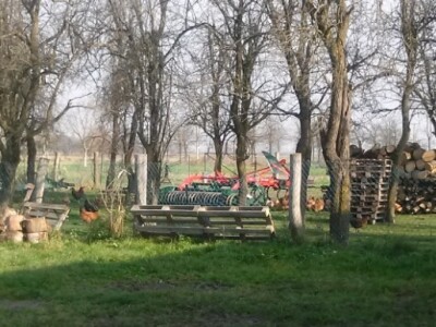 Gospodarstvo Palić Gospodarstvo Palić
