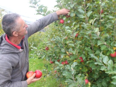 Stjepan Tonković: Dok sam na tržnici sa svojim jabukama, prekupaca nema