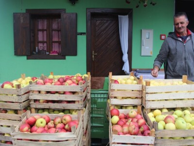 Stjepan Tonković: Dok sam na tržnici sa svojim jabukama, prekupaca nema