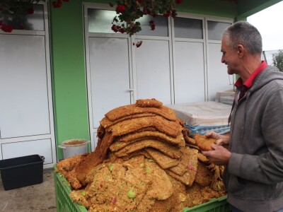 Stjepan Tonković: Dok sam na tržnici sa svojim jabukama, prekupaca nema