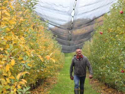 Stjepan Tonković: Dok sam na tržnici sa svojim jabukama, prekupaca nema
