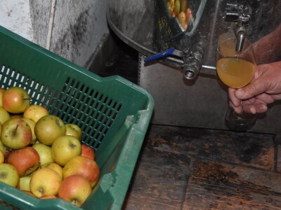 Stjepan Vučemilović - Proizvodnja vina od domaćih jabuka