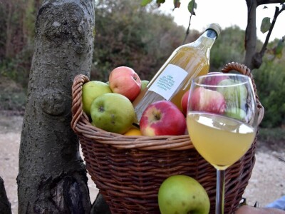 Stjepan Vučemilović - Proizvodnja vina od domaćih jabuka