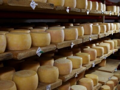 Što dulje sačuvati izvorna svojstva domaćeg sira