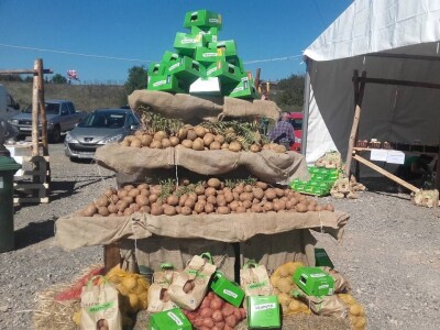 Što je Lika bez krumpira?