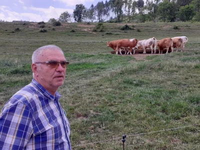 Stočari u Austriji