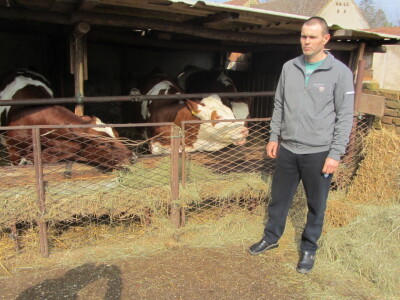 Stočari u Botošu ostali bez pašnjaka Stočari u Botošu ostali bez pašnjaka