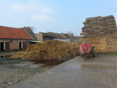 Stočari u Botošu ostali bez pašnjaka Stočari u Botošu ostali bez pašnjaka