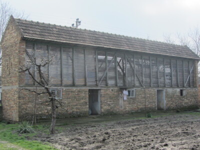 Stočari u Botošu ostali bez pašnjaka Stočari u Botošu ostali bez pašnjaka